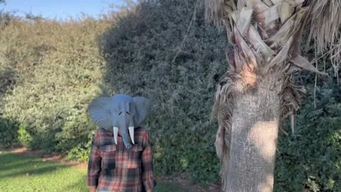 A man in an elephant mask. Stock Footage 289092294