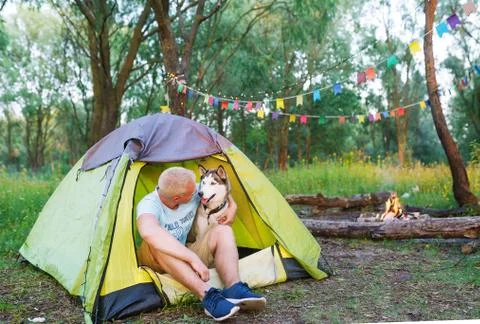 Man embracing husky dog in tent outdoors. Stock Photos