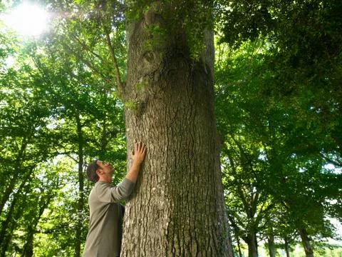 Man embracing a tree trunk Stock Photos