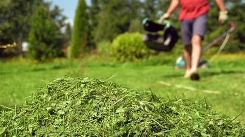 Man emptying a grass box of a lawnmower Video stock 78870181