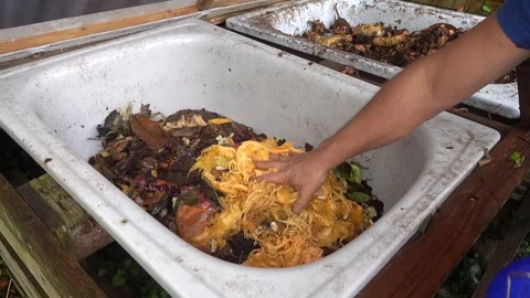 Man emptying kitchen organic waste into a backyard compost bin for recycling Stock Footage 336376898