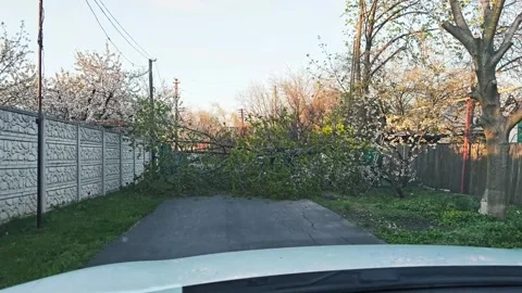 Man encounters fallen tree blocking road and cannot pass Stockbeeldmateriaal 340196490