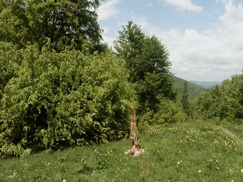 Man is engaged in yoga, head down in yellow flowers in the forest on the green Stock Footage 77756443