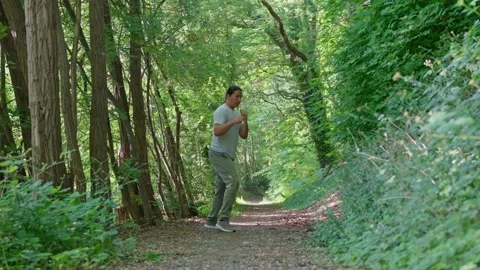 A man engages in training while immersed in a serene and beautiful nature trail Stock Footage 311448299