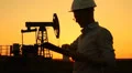 Man (engineer) with securities for the oil pumping unit. sunset Vidéos HD