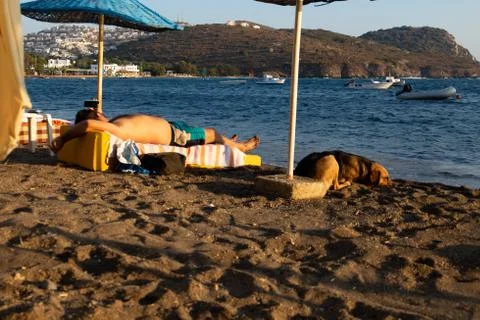 Man Enjoying Sunbath Stock Photos