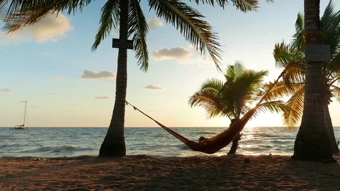 Man Enjoying the Sunrise Stock Footage 73987352
