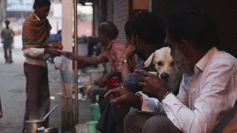 Man enjoying tea at a tea stall beside a dog staring at him Video stock 100377755