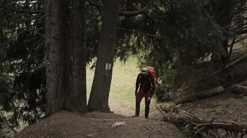 Man entering the forest with big backpack. Hiking in nature Stock Footage 192833692