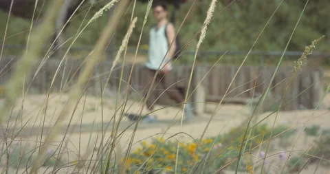 Man enters beach Video stock 205022582