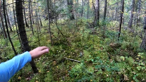 A man escapes from his pursuers in the forest.Danger. Stock Footage 107992964