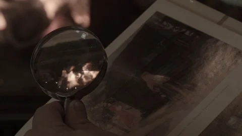 A man in the evening examines a book in front of a fireplace Stock Footage 74243769