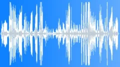 MAN EVIL LAUGHSound Effect