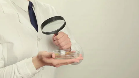 A Man Examine Something Stock Footage 62332174