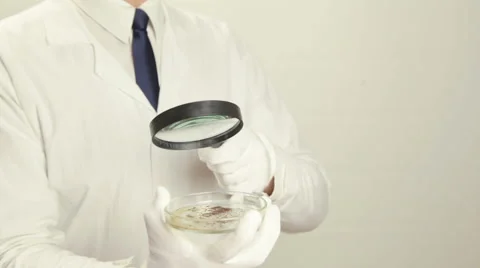 A Man Examine Something Stock Footage 62332176