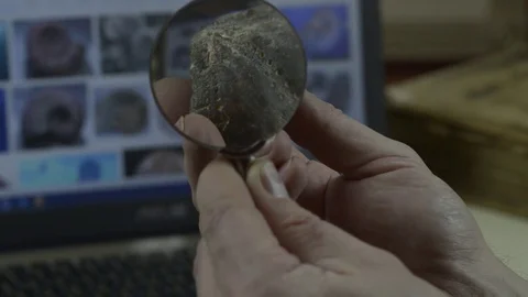 Man examines the fossil Stock Footage 74340661
