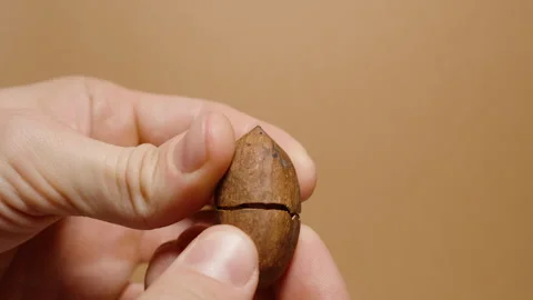 A man examines a pecan nut in his hands in close-up and cracks its shell into pi 스톡 동영상 267184041