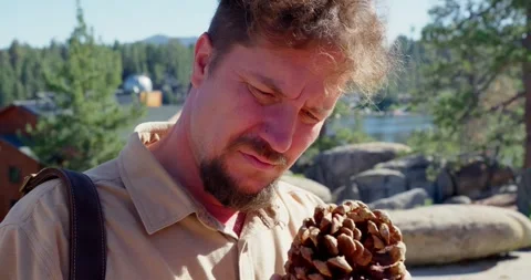 Man Examines Pine Cone Outdoors Near Lake Видео 323355629