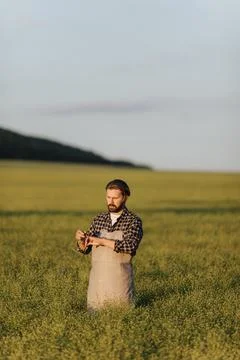 Man examining crops Stock Photos
