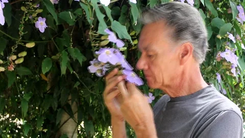 Man Examining Flowers On Vine Stock Footage 168905831