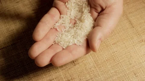 Man examining rice in hand Video stock 12693610