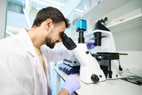 Man examining a sample under an inverted microscope in a laboratory Фото