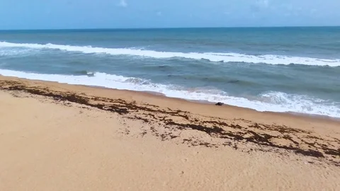 Man exhausted washed by the waves Stock Footage 81203392