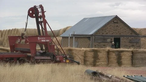 Man Exiting Shed on Bison Ranch Stock Footage 105930452