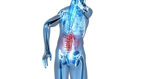 Man experiencing back pain 3D medical animation 4K anatomy concept backache bone Stock Footage 336580243