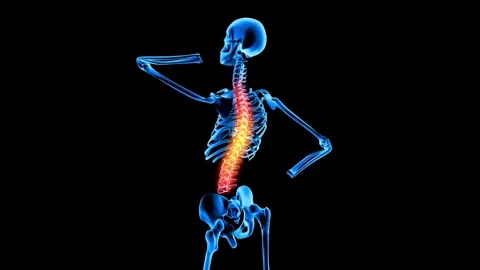 Man experiencing back pain 3D medical animation 4K anatomy concept backache bone 库存影片 336580348