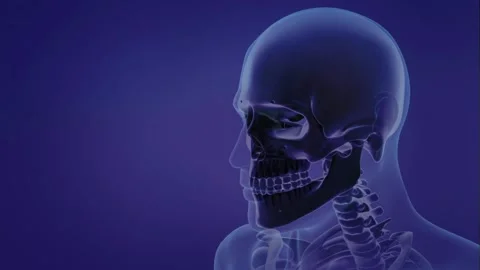 Man experiencing back pain 3D medical animation 4K anatomy concept backache bone Stock Footage 336580369