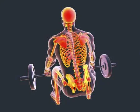 A man experiencing back pain while lifting a barbell, 3d illustration Illustrazione stock