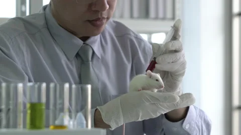 Man experiment rat in laboratory Stock-Footage 173636704