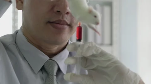 Man experiment rat in laboratory Stock-Footage 173637452