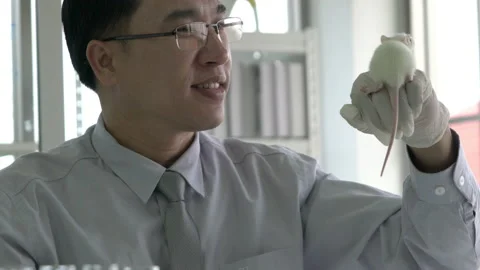 Man experiment rat in laboratory Stock-Footage 173642438
