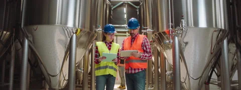 Man explaining process during training Stock-Footage 147573486