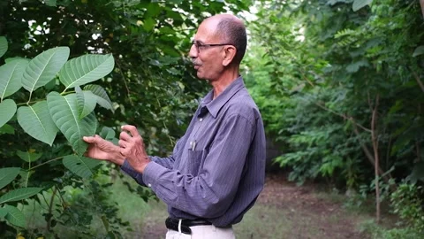 A man explains by showing the leaves in Stock Video Pond5