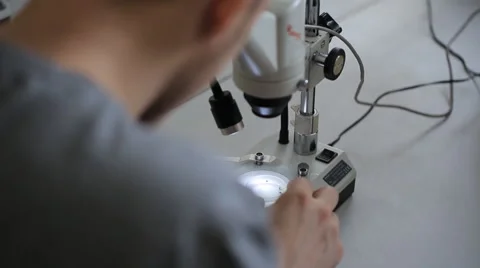 Man explores behaviour of little insects with help of microscope Stock Footage 65008601