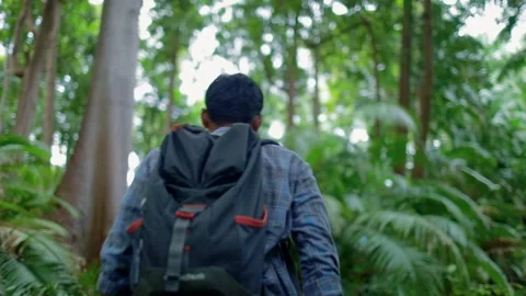 A man explores a dense tropical forest Video stock 266122088