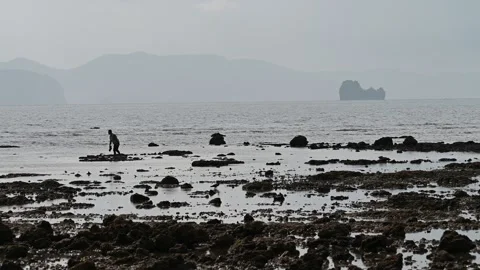 Man explores rocky shallows at Klong Muang Beach Video stock 336717927