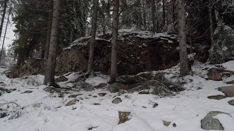 Man exploring big rock in a forest Stock Footage 146191979