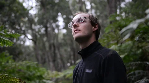 Man exploring rainforest Stock Footage 53083402