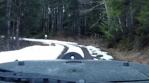 Man Exploring Snow Covered Dirt Road Stock Footage 172448341