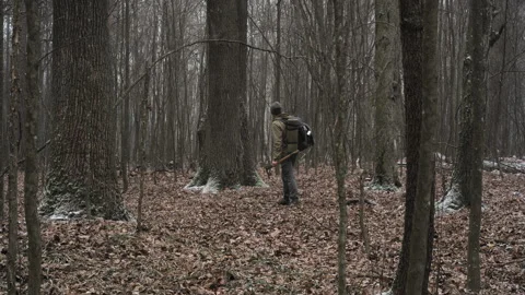 Man exploring a snow-dusted forest with trees and fallen leaves Stock Footage 346118159