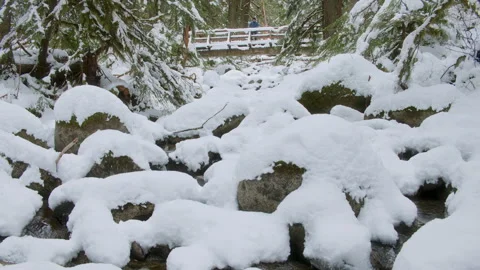Man Exploring Snowy Forest Stream Looking Down from Bridge Stock Footage 304966017