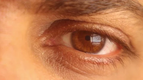 Man eye. Human eye opening close-up. eye with brown iris, cornea. Healthy Stock Footage 221552341