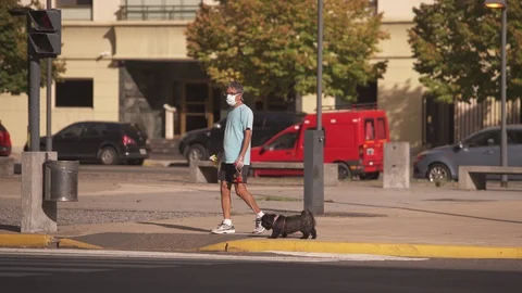 Man with a face mask walking his dog during quarantine Stock Footage 128768720