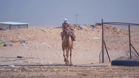 Man with face wrapped riding camel amid the ruins of an old settlement Stock Footage 76936018