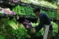 Man Facing Lettuce In Produce Footage