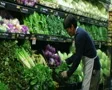 Man Facing Lettuce In Produce SD Footage